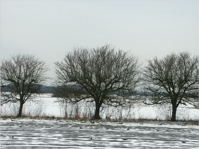 starkes_wachstum