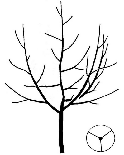 pyramidenkrone50