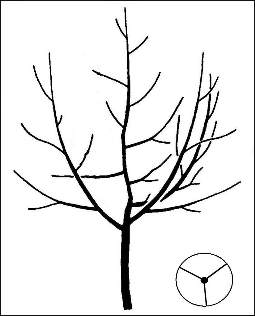 Pyramidenkrone